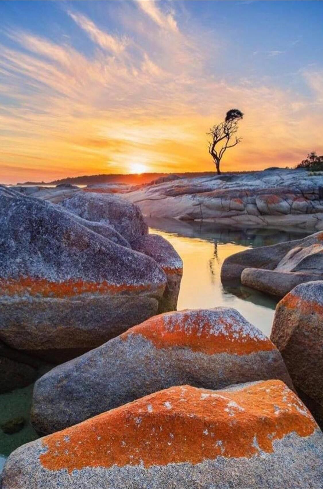 A natural landscape with large rocks, a tree, and a sunset.