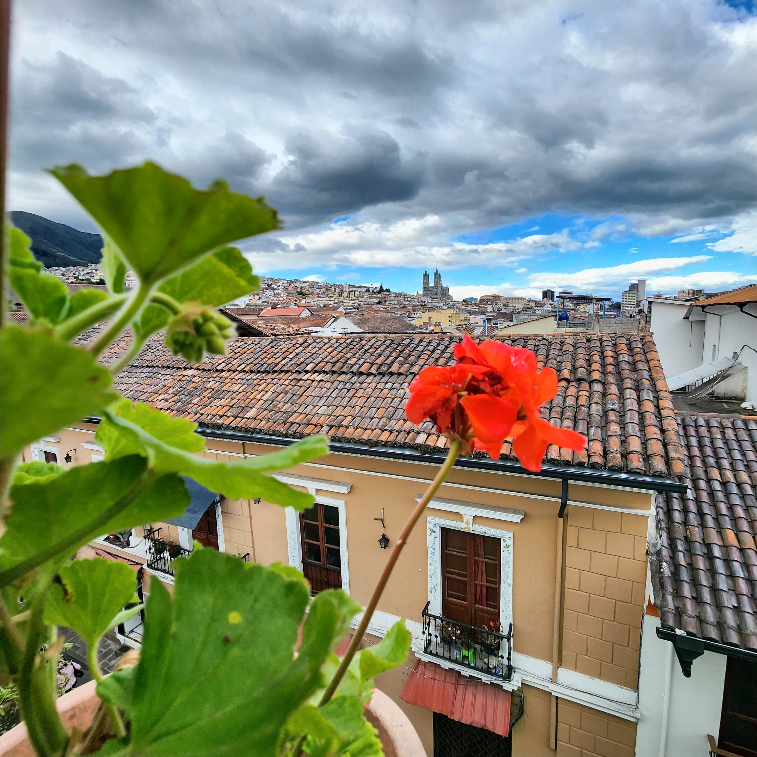 Photo - Hotel Boutique Casa San Marcos