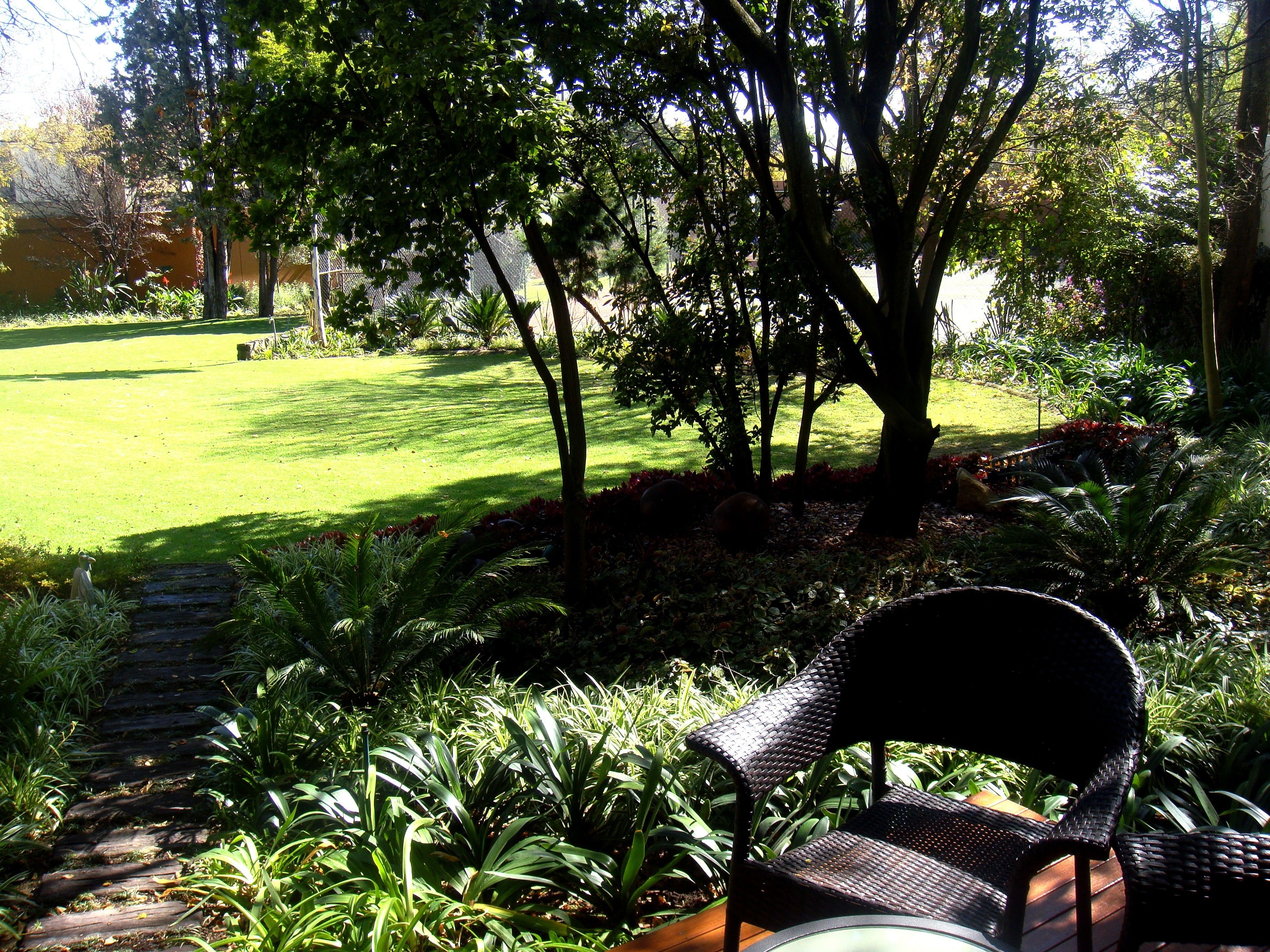 A garden with a wooden deck, a chair, and a lawn.