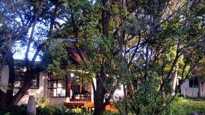 A house surrounded by lush greenery and trees. - Lourie Lodge (Sandton)