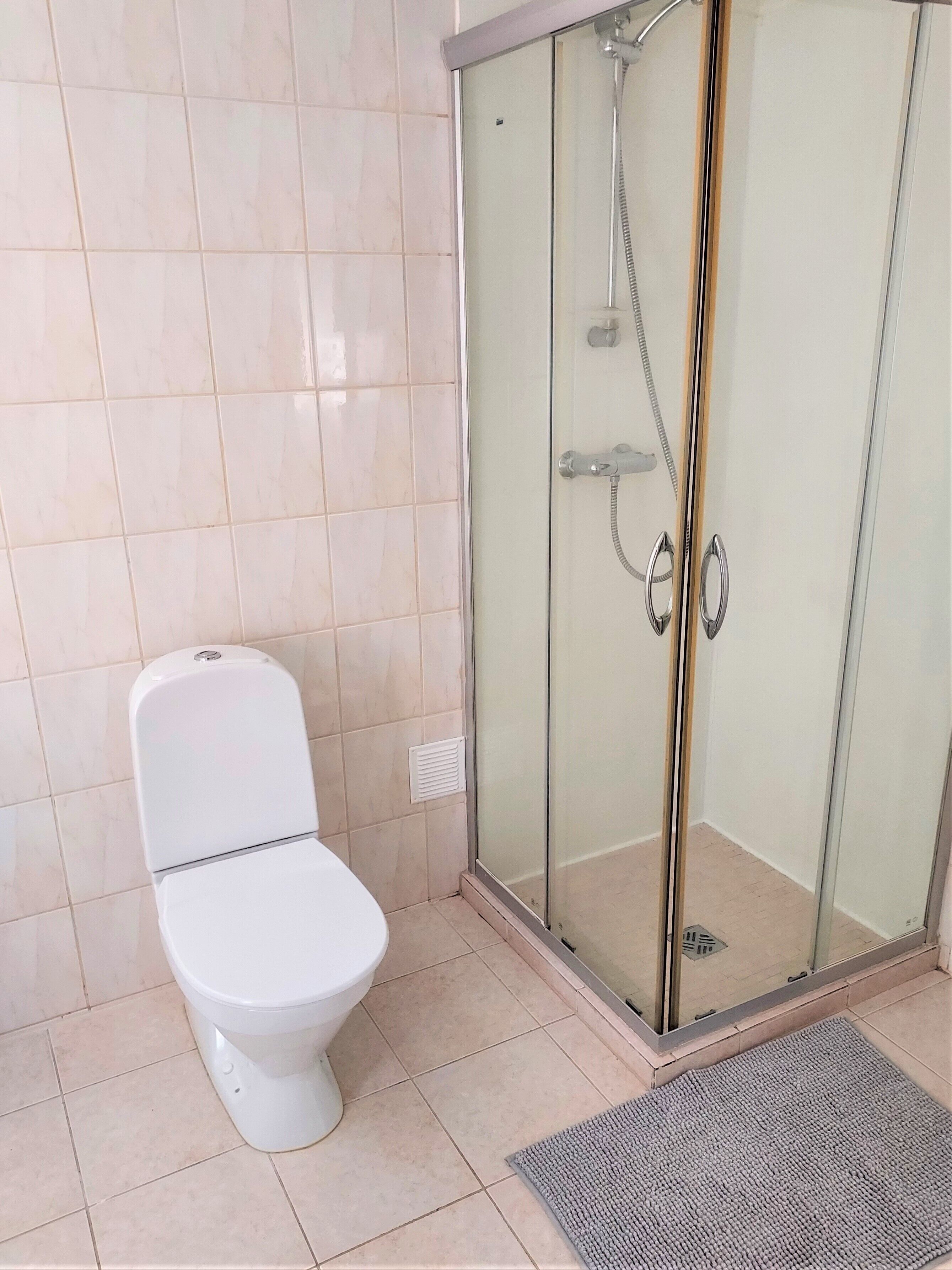 A modern bathroom with a toilet, a glass-enclosed shower, and a grey rug.