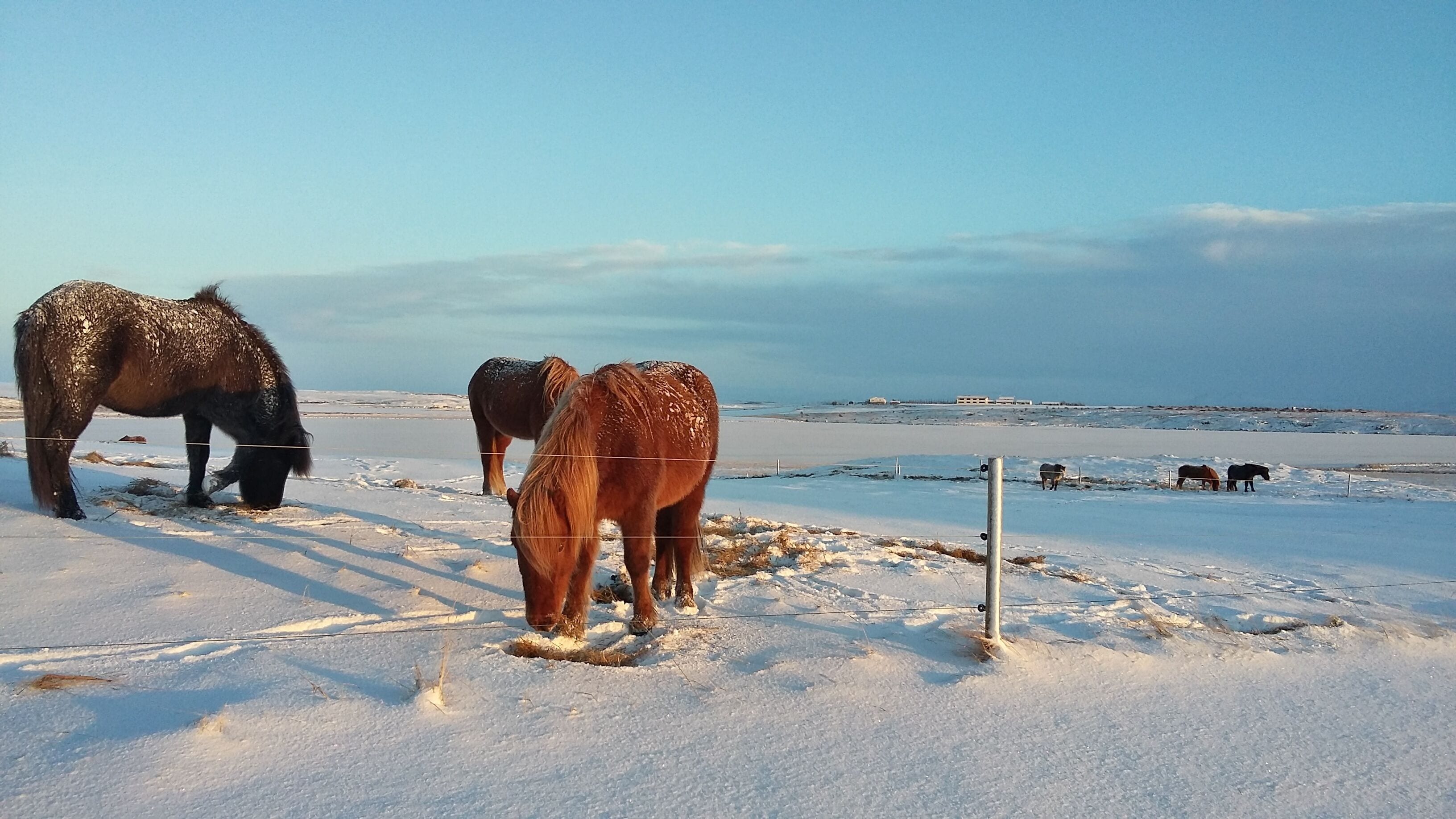 Doppel- oder Zweibettzimmer, Gemeinschaftsbad | Ausblick vom Zimmer