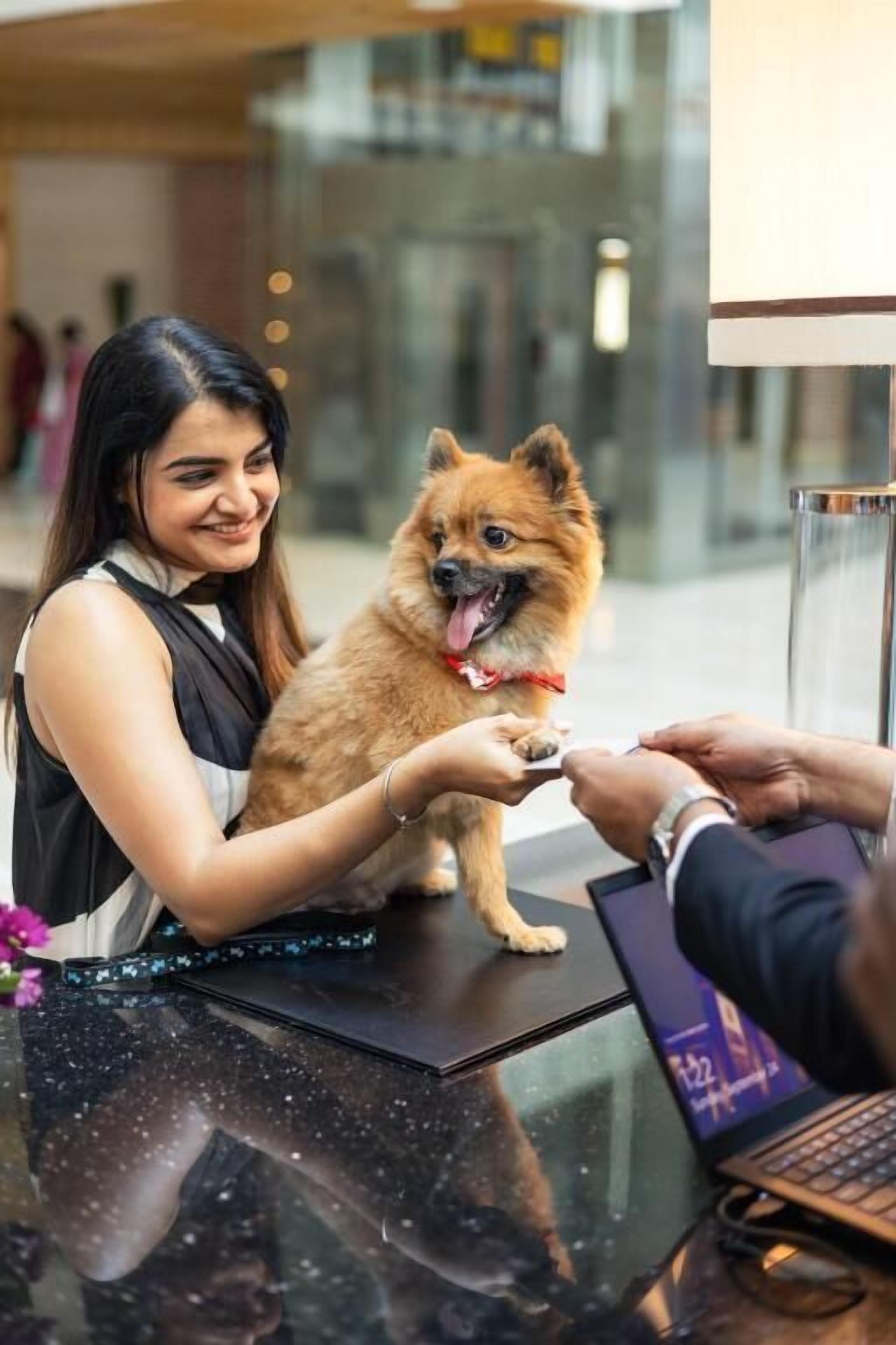 Pet-friendly