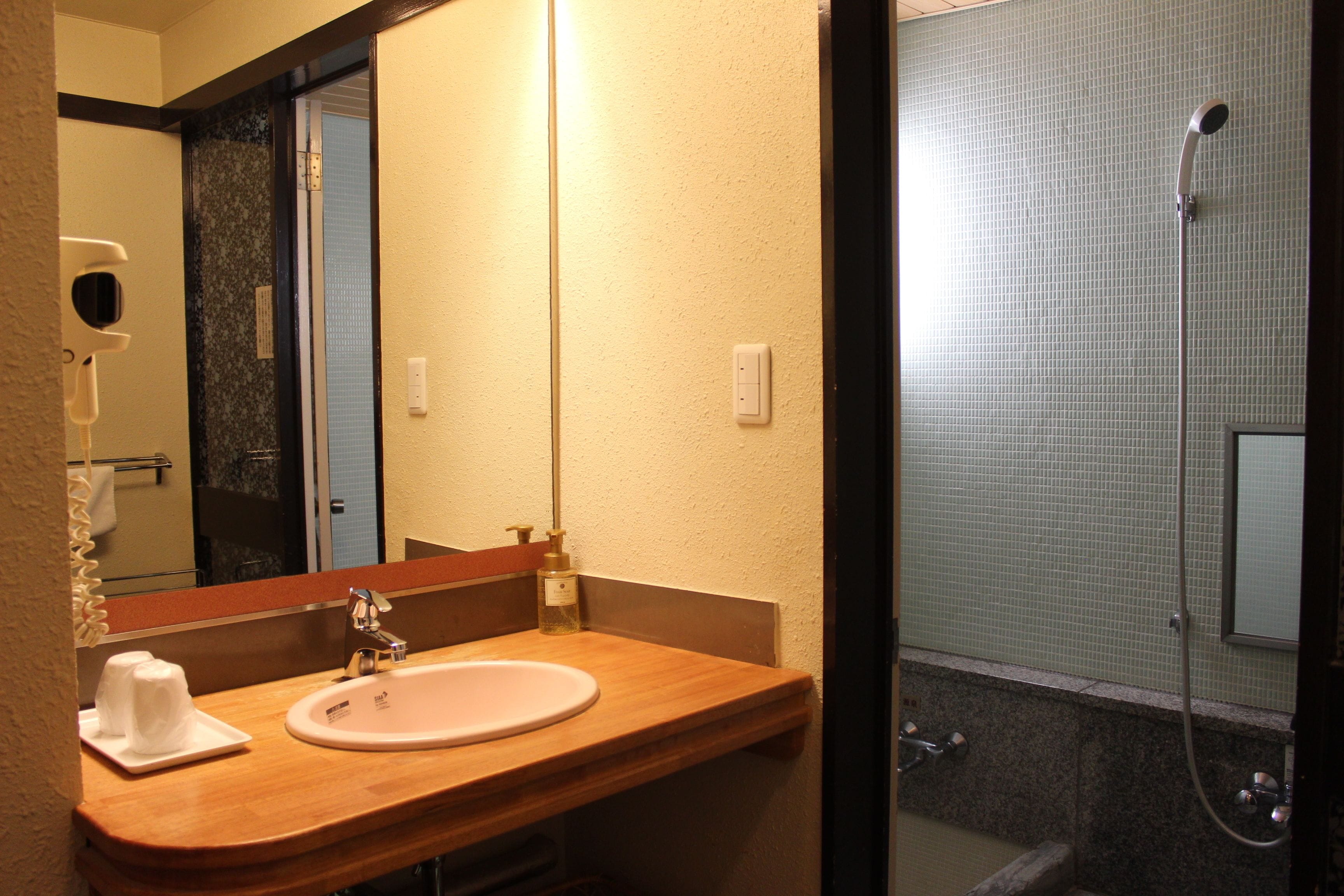 Un bagno con un mobiletto vanitario in legno, un lavandino, uno specchio, un soffione doccia manuale e un dispenser di asciugamani.