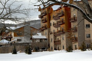Paseos con raquetas de nieve
