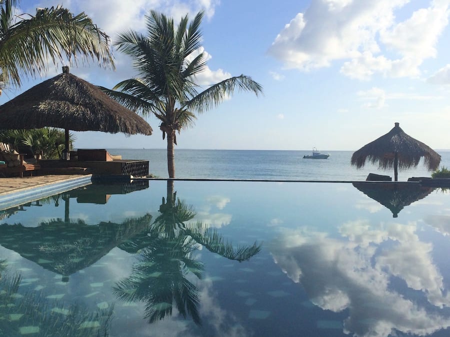 Outdoor pool, pool umbrellas, pool loungers