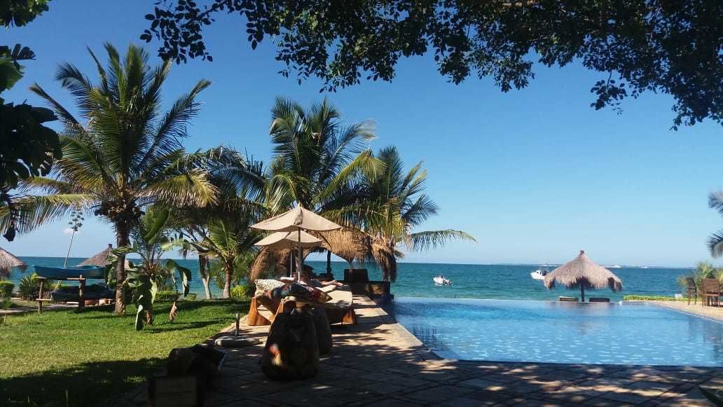 Un espace aménagé au bord de la piscine, avec des chaises longues, des parasols et des palmiers.