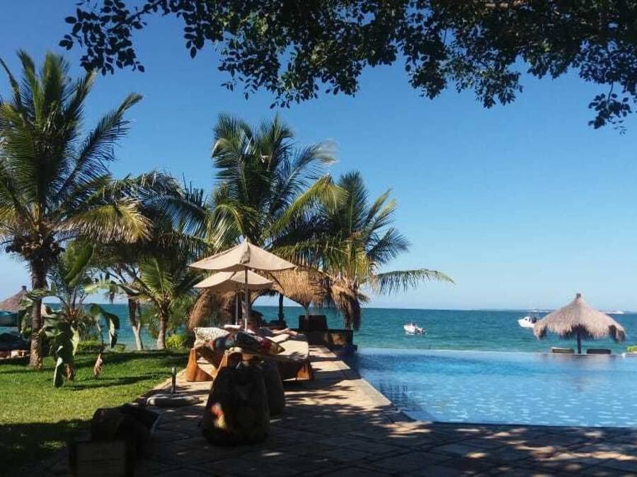 Un espace aménagé au bord de la piscine, avec des chaises longues, des parasols et des palmiers.