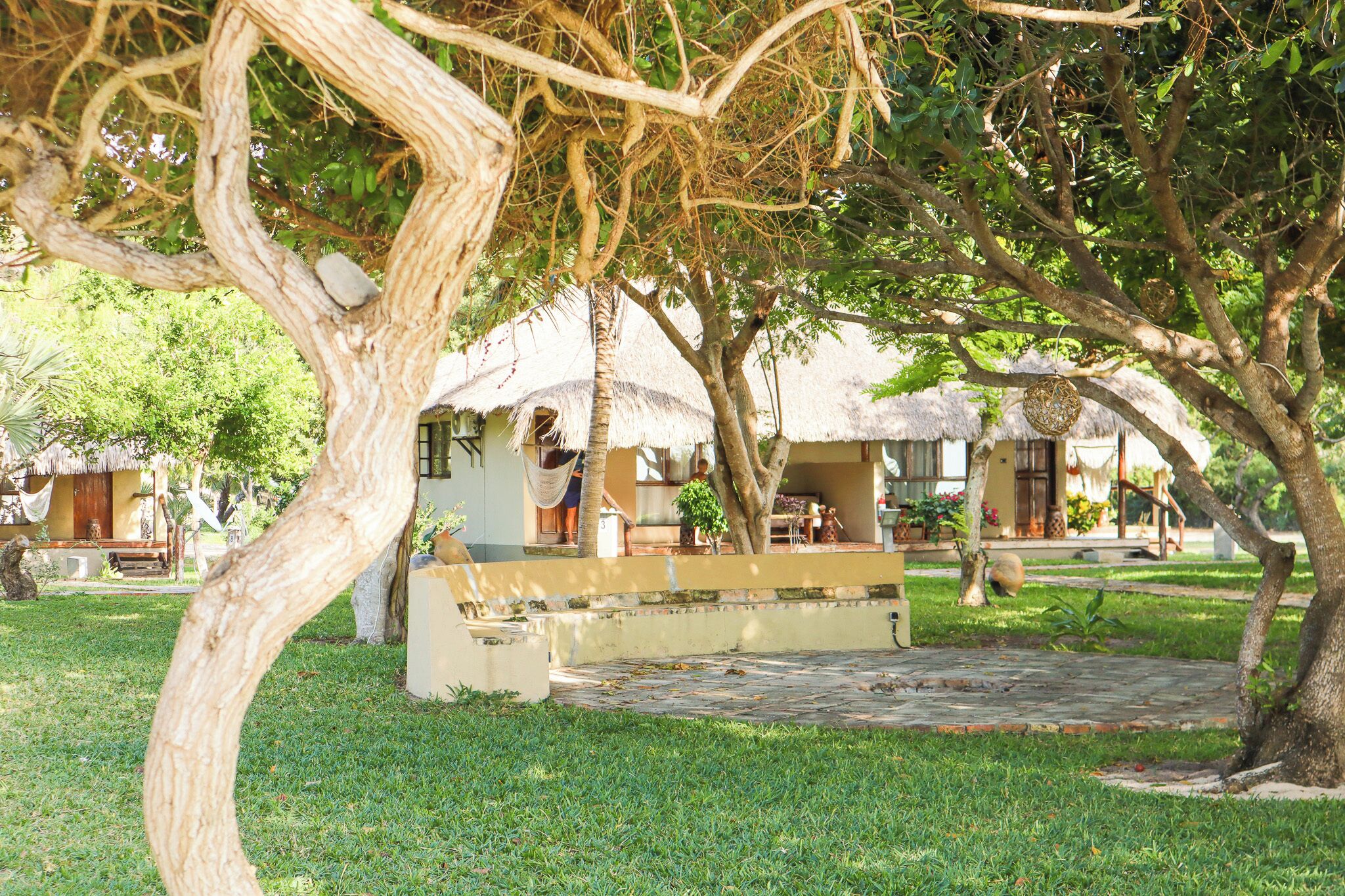 A thatched-roof structure, a stone bench, and a tree in a garden setting.