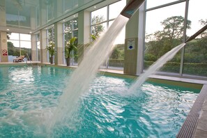 Una piscina interior con agua cristalina, ventanas amplias y plantas en macetas.