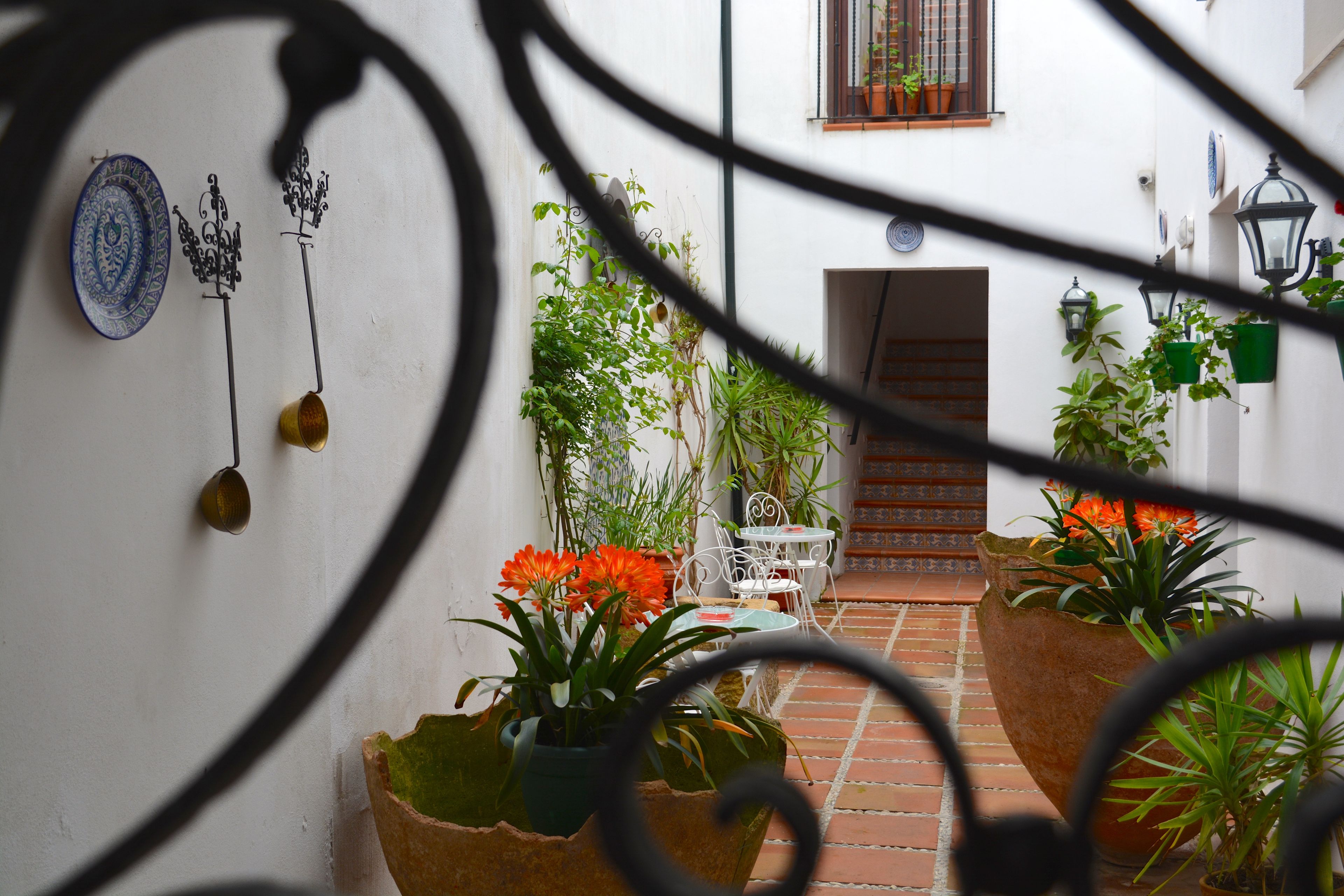 Photo - Hotel Marisa