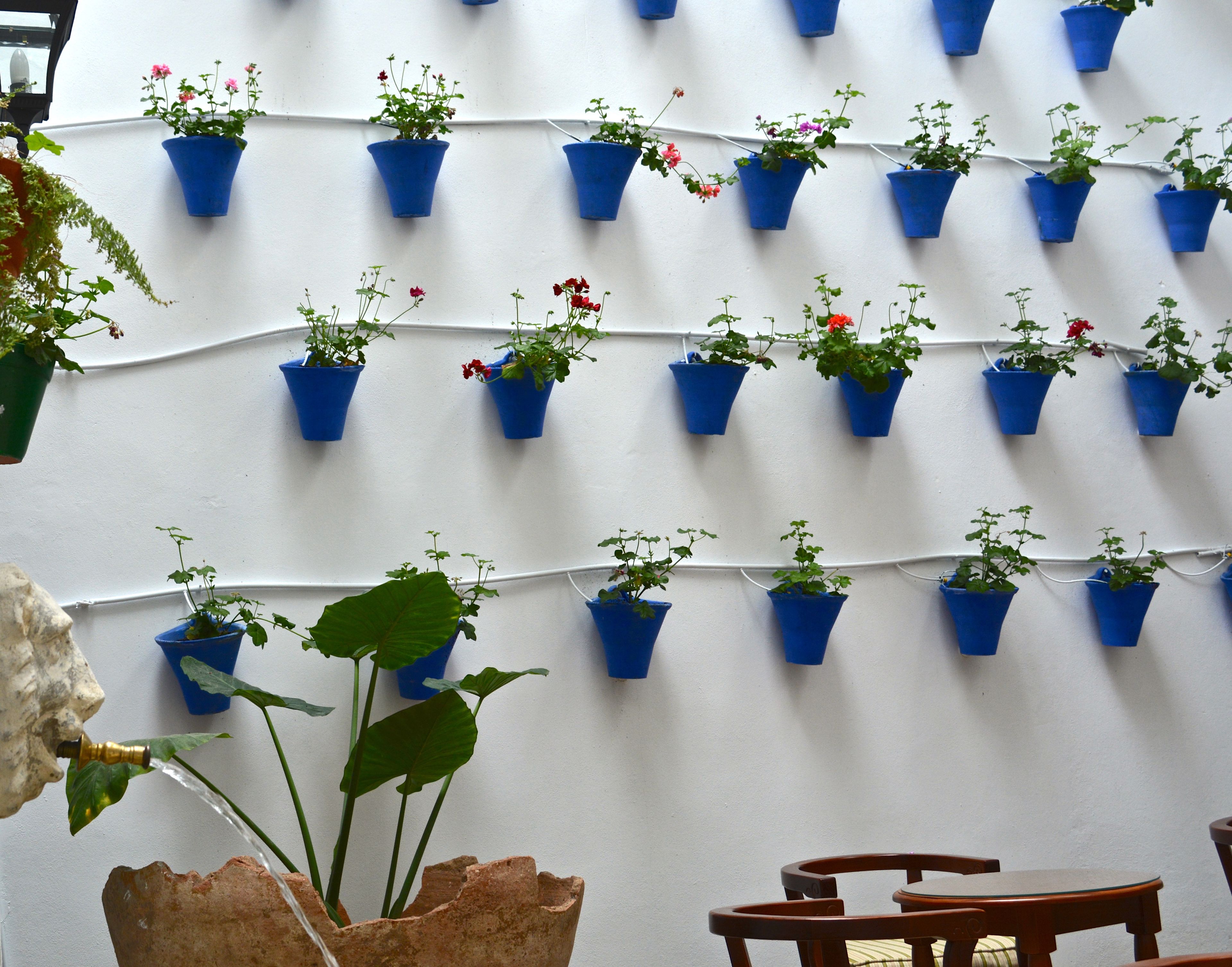 Un mur orné de plusieurs jardinières bleues disposées en motif quadrillé, une jardinière en pierre rustique contenant une plante, et une chaise en bois.