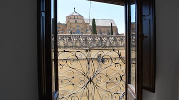 Vista desde la propiedad