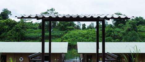 A wooden walkway leading to two small, single-story buildings with green roofs, surrounded by lush greenery.