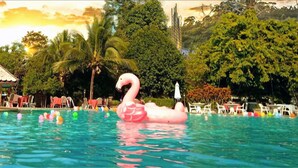 Ein Swimmingpool mit einem Flamingo-Schwimmpfaugel, Liegestühlen und einem Pavillon.