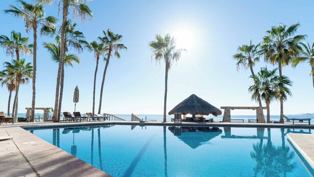 A clear blue pool surrounded by palm trees and lounge chairs, with a thatched-roof structure in the background. - Playa del Sol (Los Barriles)