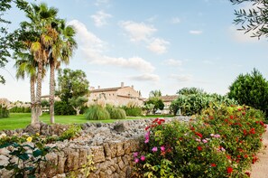 A stone wall with flowers, a palm tree, and a building with a tiled roof. - Hotel Sa Franquesa Nova (Vilafranca de Bonany)