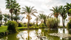 Un jardín tranquilo con un estanque, palmeras y abundante vegetación.