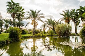 Lake - Hotel Sa Franquesa Nova (Vilafranca de Bonany)