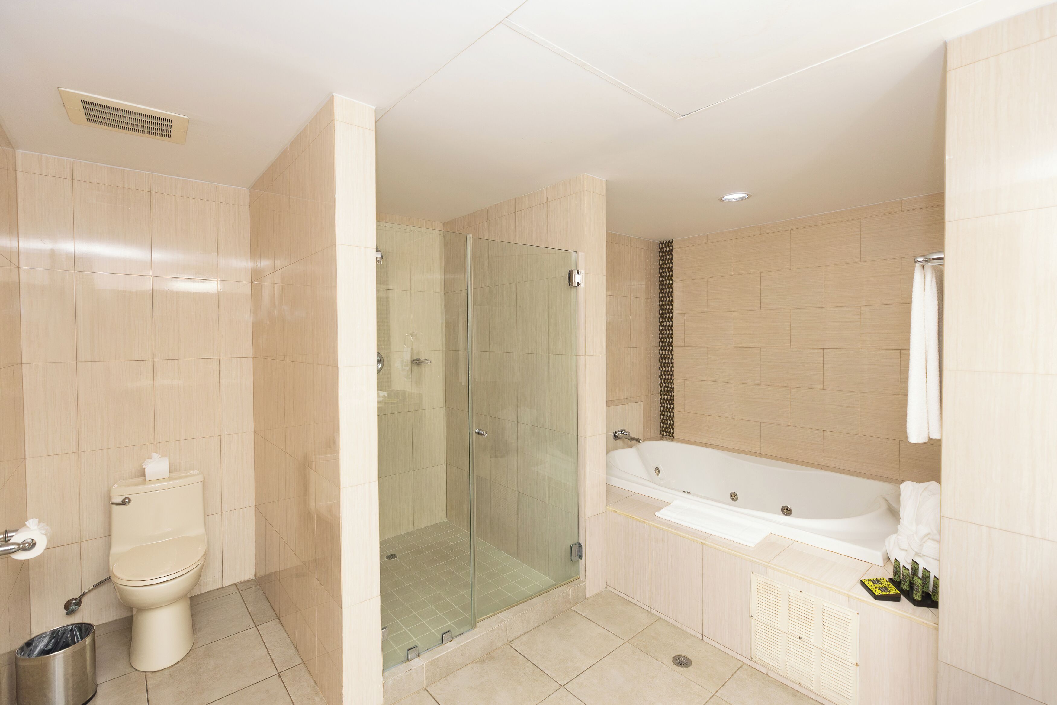premium suite, 1 king bed | bathroom | shower, free toiletries, hair dryer, towels