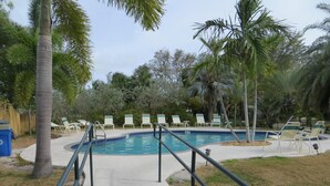 Une piscine entourée d’une terrasse, de palmiers et de chaises longues.