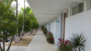 Un couloir bordé d’arbres et de plantes en pot, qui mène à un bâtiment à l’extérieur blanc et doté de fenêtres.