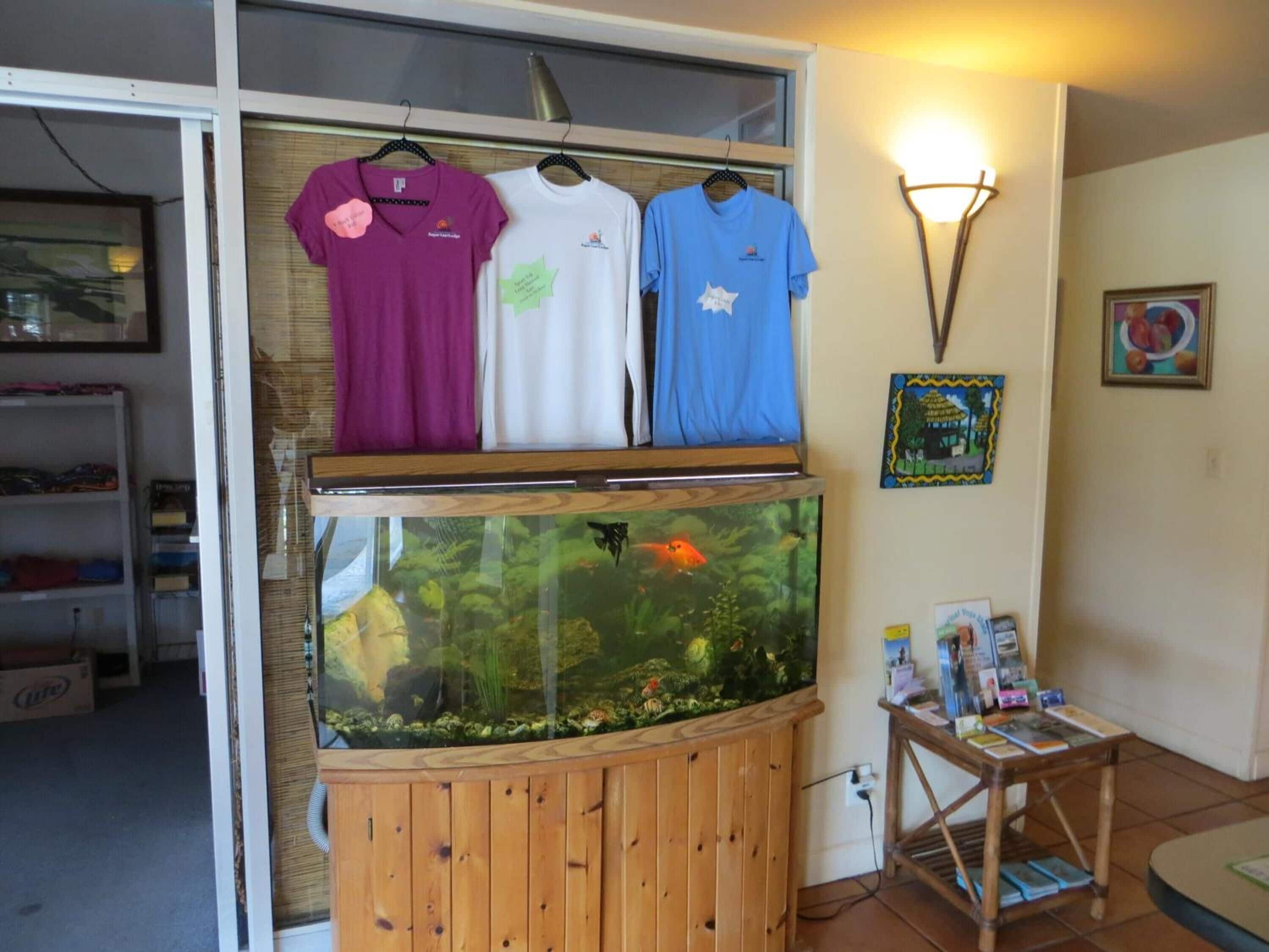 Een kamer met een groot aquarium, een houten kast en een tafel met boeken en tijdschriften.