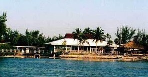 Ngoại thất