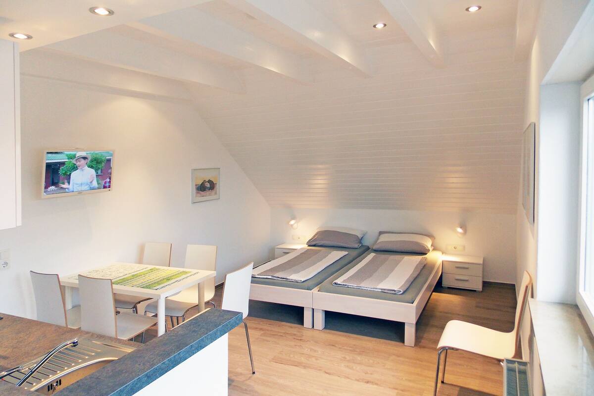 A modern, compact room with a dining area, two single beds, a TV, and a small window.