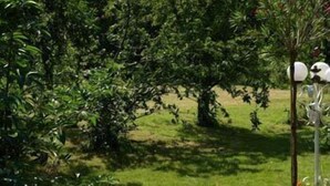A garden with a variety of trees and shrubs, a small white structure, and a grassy area. - Auberge des Ecluses (Carrieres-sous-Poissy)