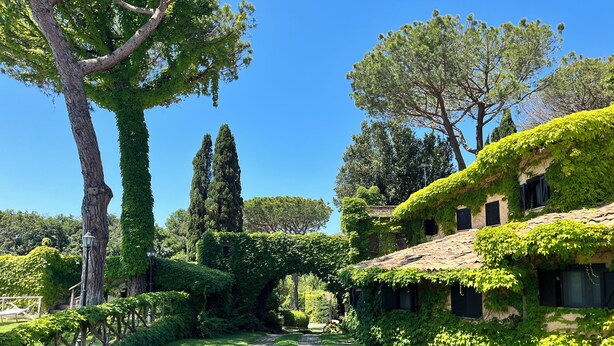 Un sendero de jardín que conduce a un edificio con muros cubiertos de hiedra y techo de tejas.