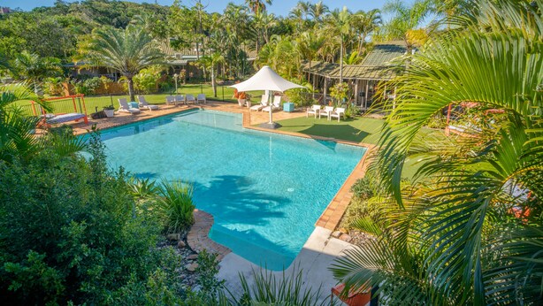 Ein Schwimmbecken, umgeben von üppiger Vegetation und Palmen, mit Liegestühlen und einer Laube.