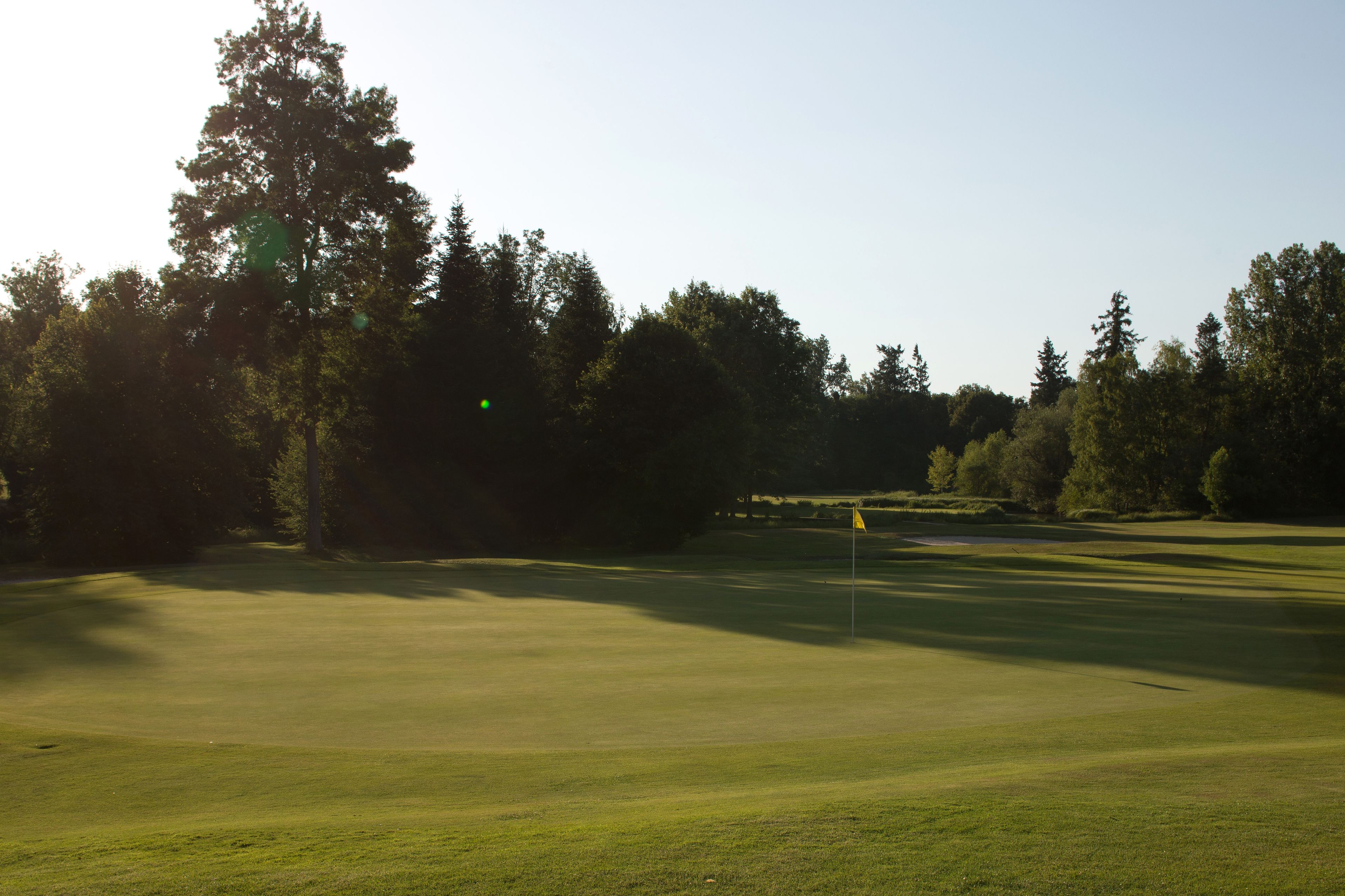 A golf course with a flagstick, surrounded by trees and clear skies.