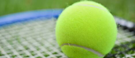 Una pelota de tenis sobre una cancha de tenis con red.