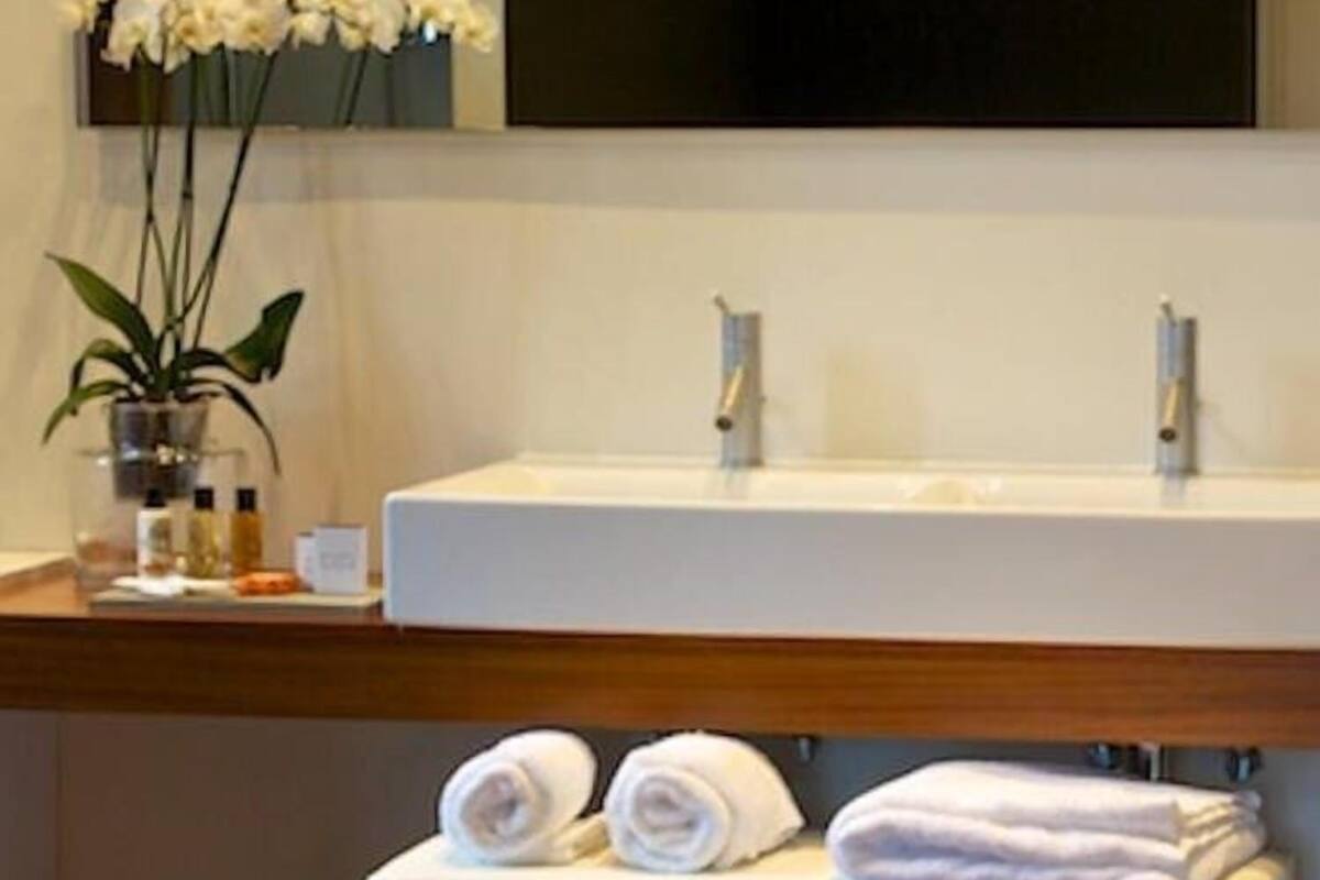 suite (suite xl) | bathroom | shower, free toiletries, hair dryer, towels
