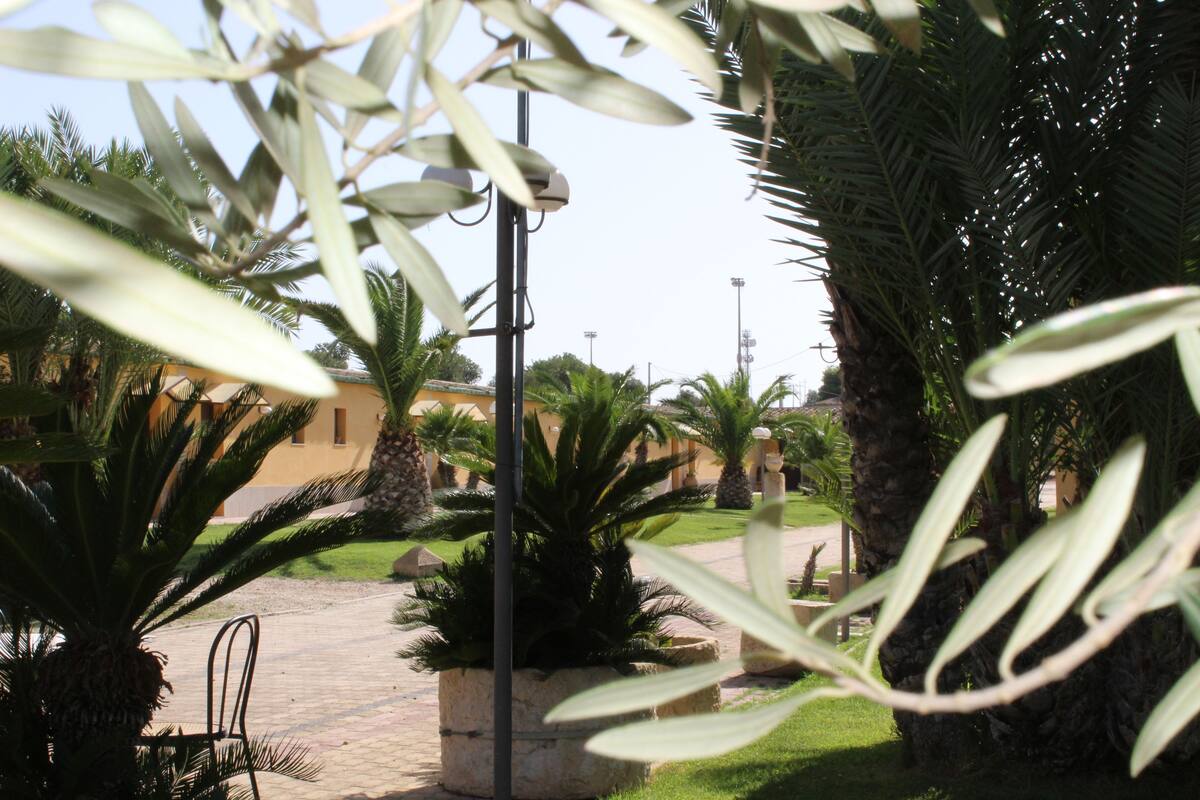 A courtyard with palm trees, a pathway, and a building in the background.