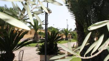 A courtyard with palm trees, a pathway, and a building in the background.
