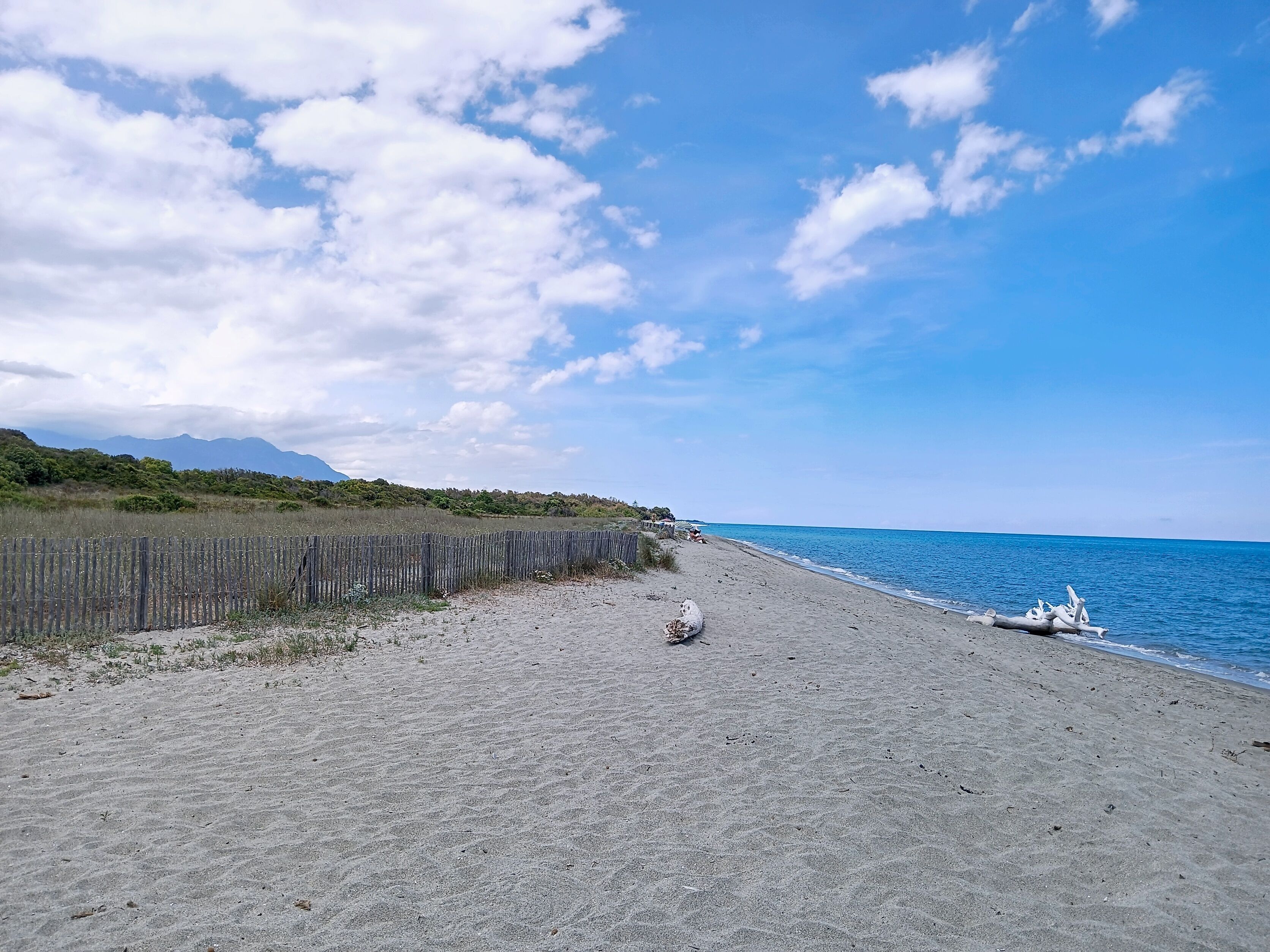 Una playa con una valla de madera, un perro y un cielo despejado.