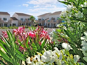 Front of property - Terres de France - Résidence Les Hauts du Maquis (Linguizzetta)