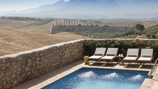 Zona de piscina con muros de piedra y sillones de descanso, con vistas a un viñedo y montañas.