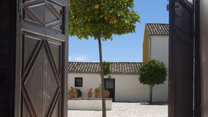 Puerta de madera abierta que da a un patio con techo de tejas, un árbol de naranjos y plantas en macetas.