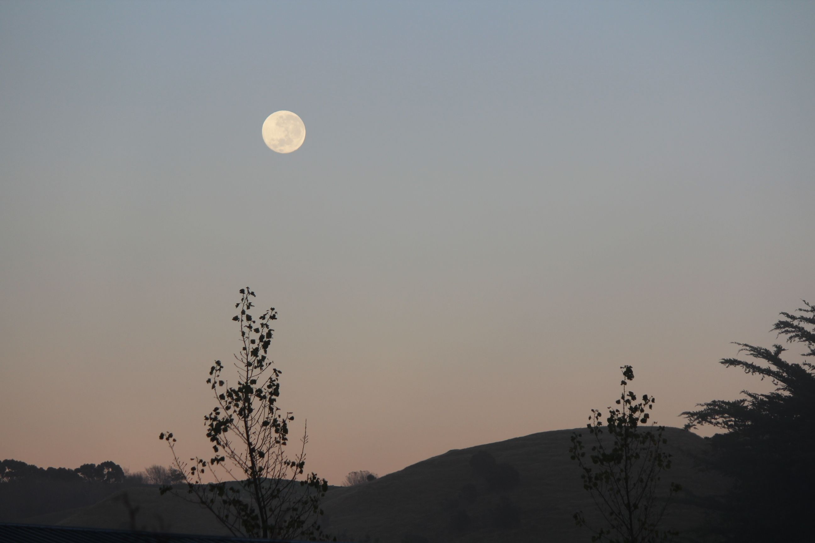 A landscape with a large moon in the sky, silhouetted trees, and a hill in the background.