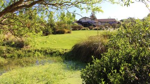 A grassy area with a house in the background. - The Summit Lodge (Gladstone)