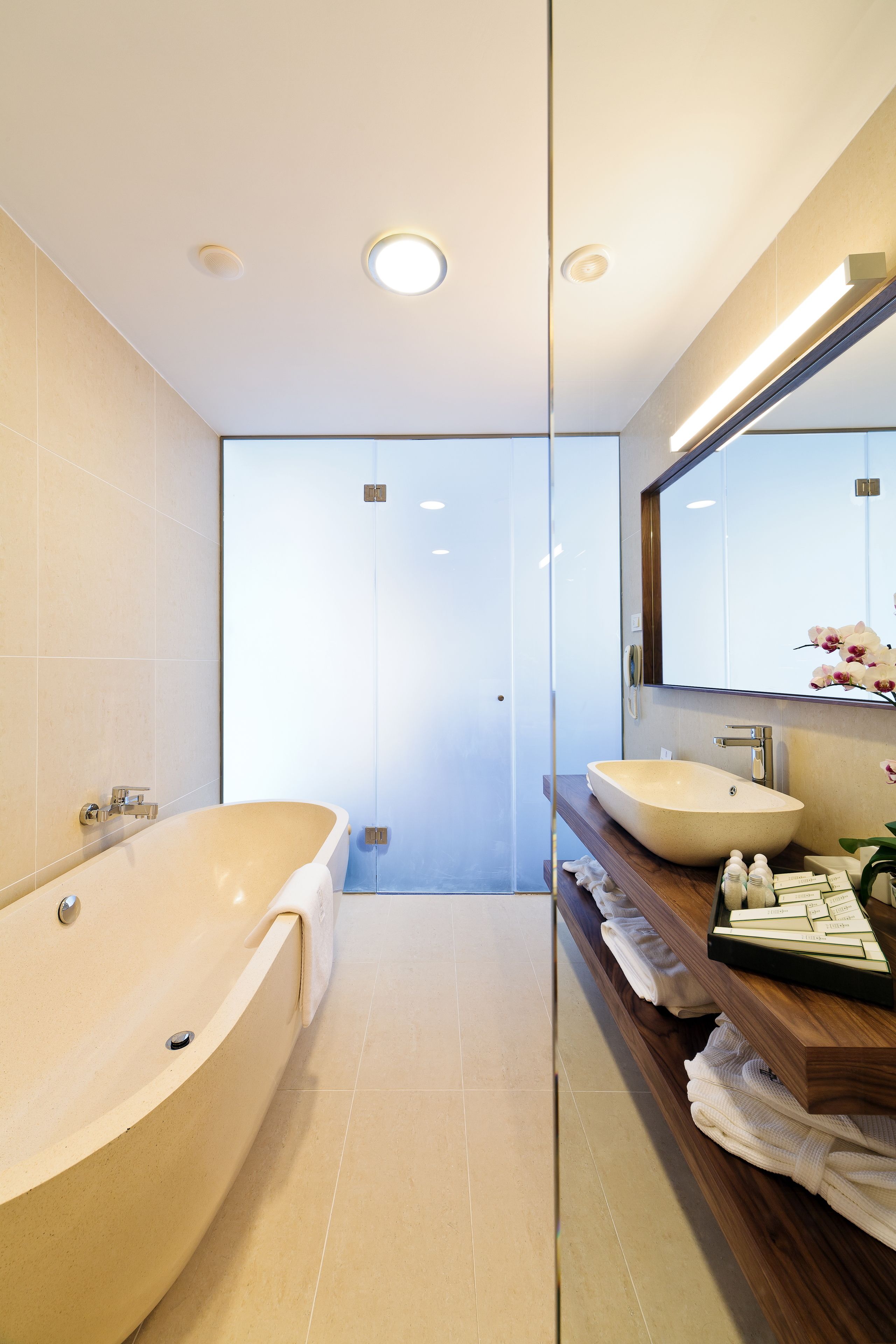 separate bathtub and shower, free toiletries, hair dryer, bathrobes