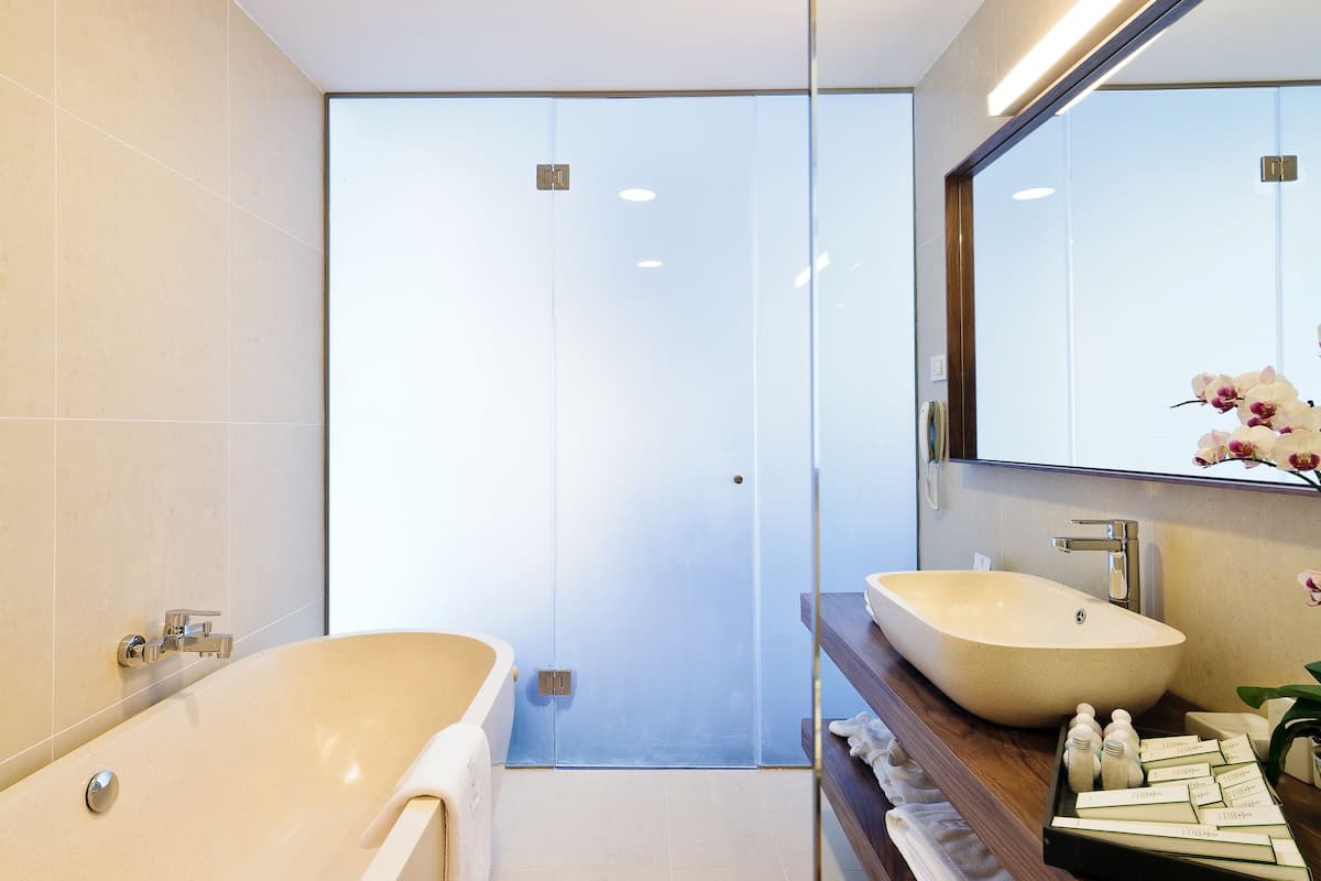 separate bathtub and shower, free toiletries, hair dryer, bathrobes