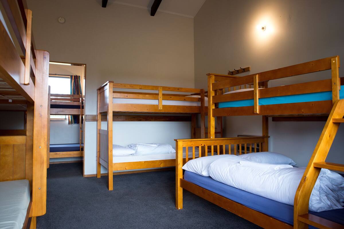 A bunk bed room with a carpeted floor and a window with curtains.