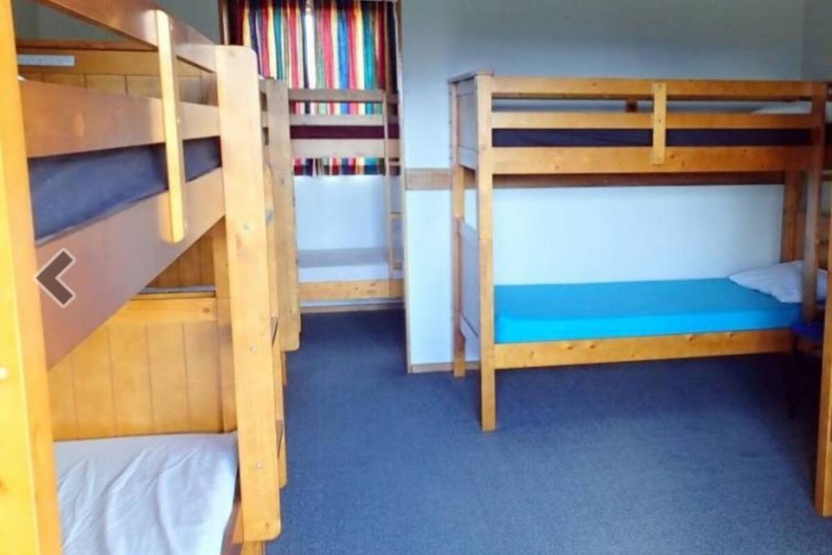 A bunk bed room with a bookshelf and a carpeted floor.