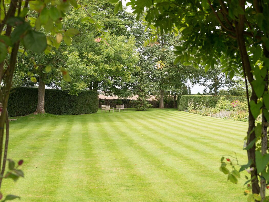 A well-maintained lawn with a hedge and a bench.