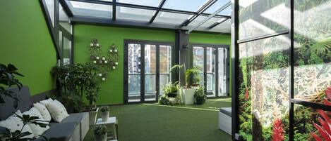 A conservatory with a glass ceiling, green walls, and a variety of potted plants.