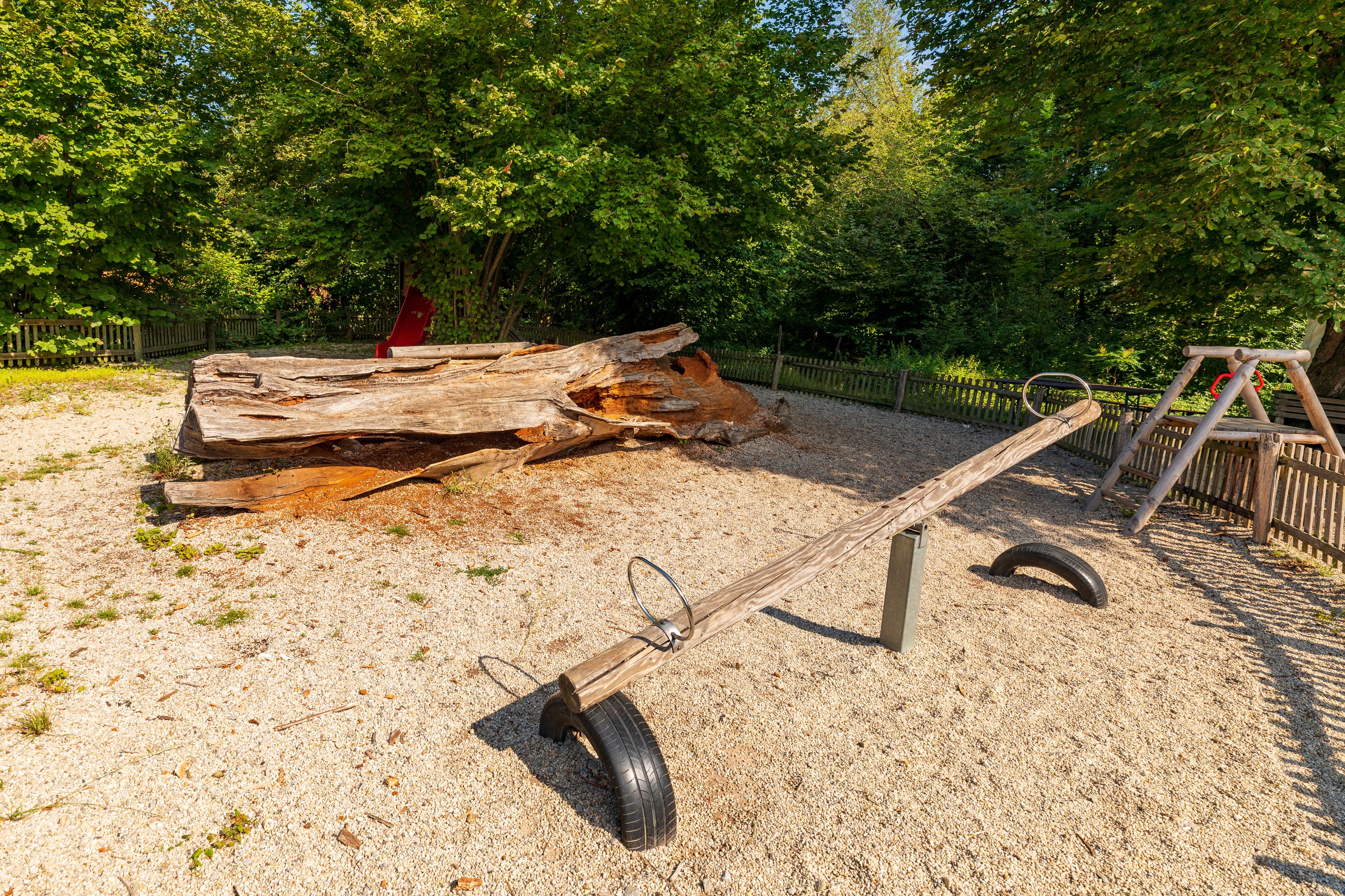 A wooden seesaw with a tire as a seat, set on a gravel surface in a park with trees and a wooden fence in the background.